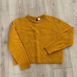 Divided Cropped Crewneck Sweater in Mustard